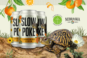 Graphic showing cans of Slowpoke Cider next to an ornate box turtle