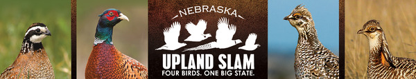 Ad for the Nebraska Upland Slam