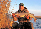 Angler holding up a northern pike