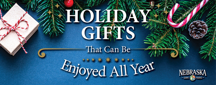 Holiday background with text: "Holiday gifts that can be enjoyed all year"