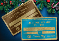 Lifetime permits on a holiday background