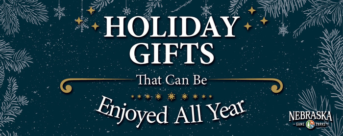 Christmas header with text, "Holiday gifts that can be enjoyed all year long"