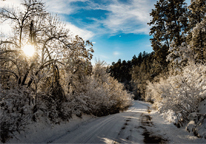 Winter scenery with trees dusted in snow along a road near Chadron State Park