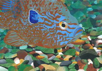 Winning artwork of a colorful fish and bed of rocks