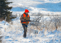 An upland bird hunter in the field with his dog in winter