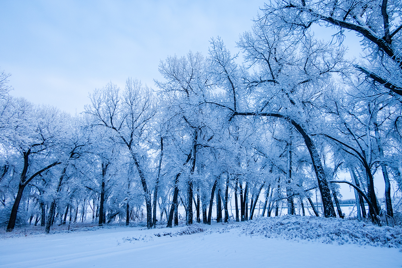 Frost and snow cling to the trees at Box Butte Wildlife Management Area's Hunters Point on a cold winter afternoon. 