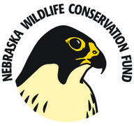 Wildlife Conservation Fund logo showing a peregrine falcon illustration