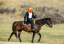 A man wearing a pumpkin on his head while riding a horse