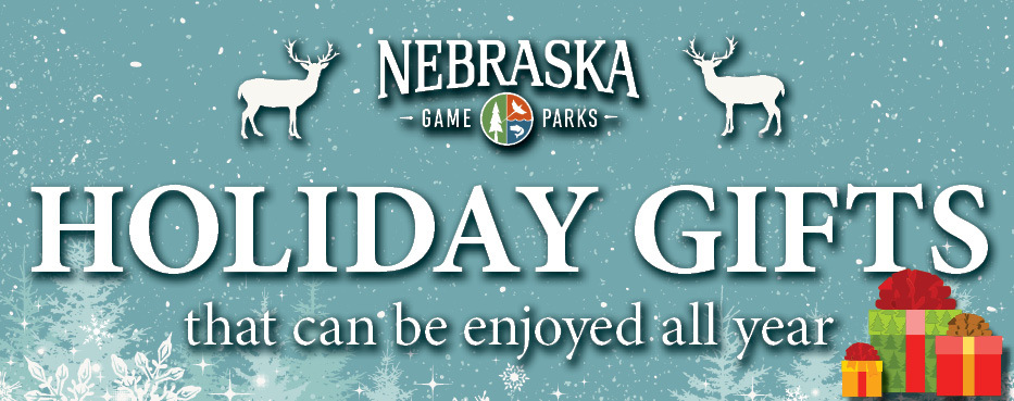 Holiday header with text: "Gifts you can enjoy all year"