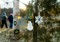 Holiday decorations on an outdoor tree