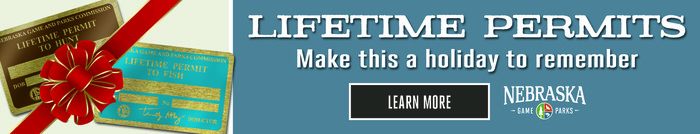 Lifetime Permits image and advertisement