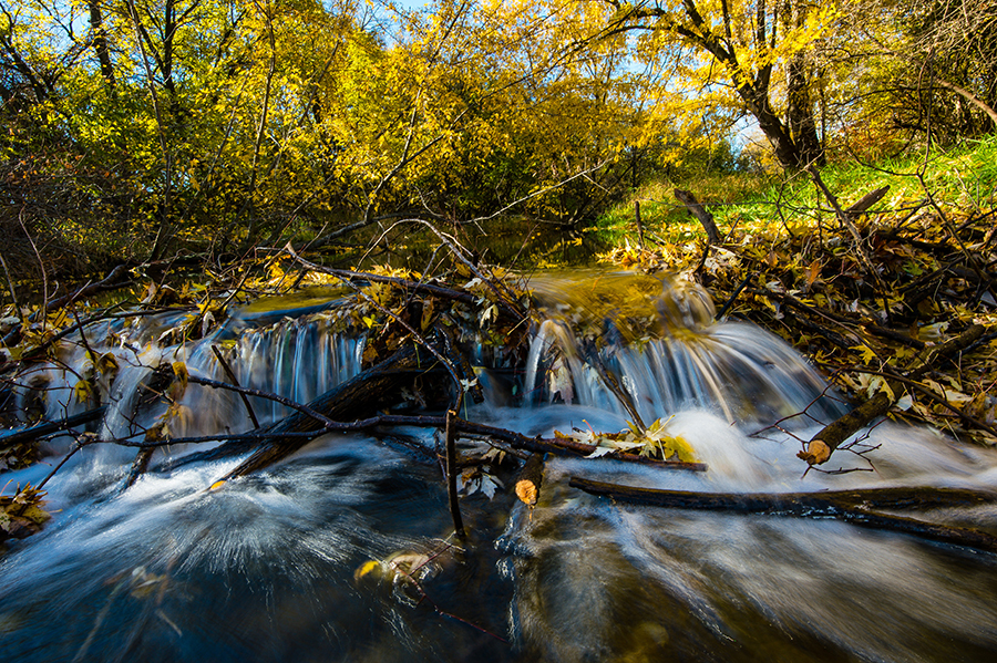 Water rushes over a small dam with fall color in the background.