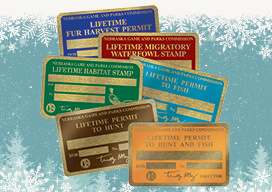 Lifetime permits on a holiday background
