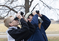People looking at birds through binoculars