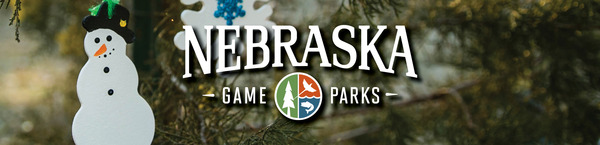 Header with Game and Parks logo