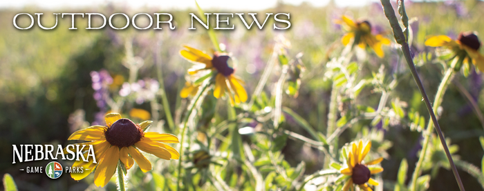 Header showing sunflower photo and text "Outdoor News," with Nebraska Game and Parks header