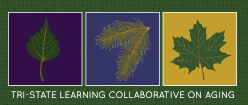 Tri-State Learning Collaborative
