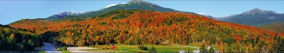 Rural