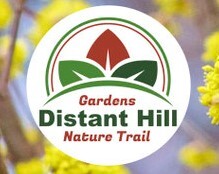 Distant Hill