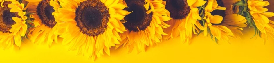 August