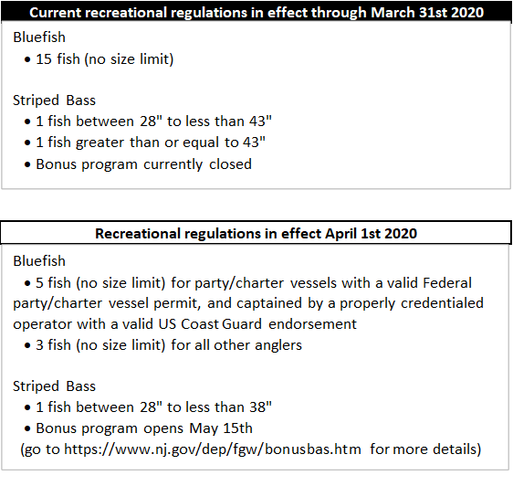 CNB Fishing/Hunting NJ Bluefish/Striped Bass Regulations Update CNBNews