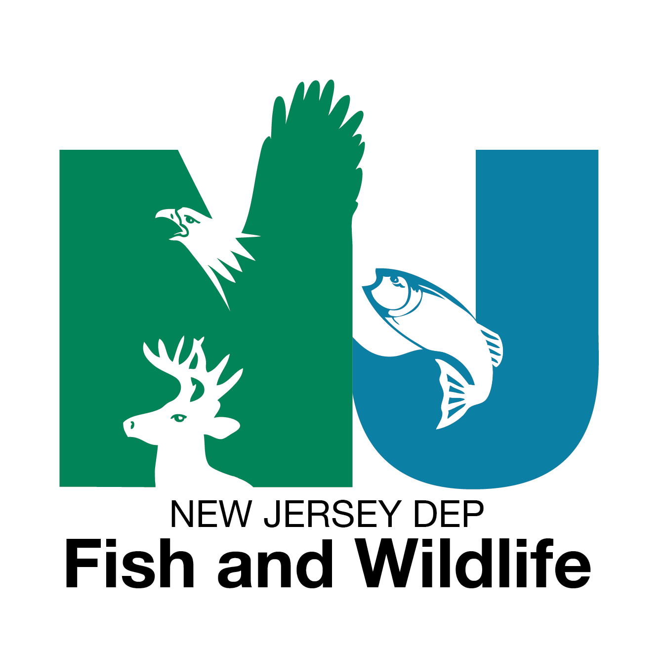 New Jersey D E P Fish and Wildlife