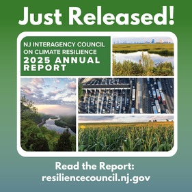  Flyer promoting release of the 2025 IAC Annual Report