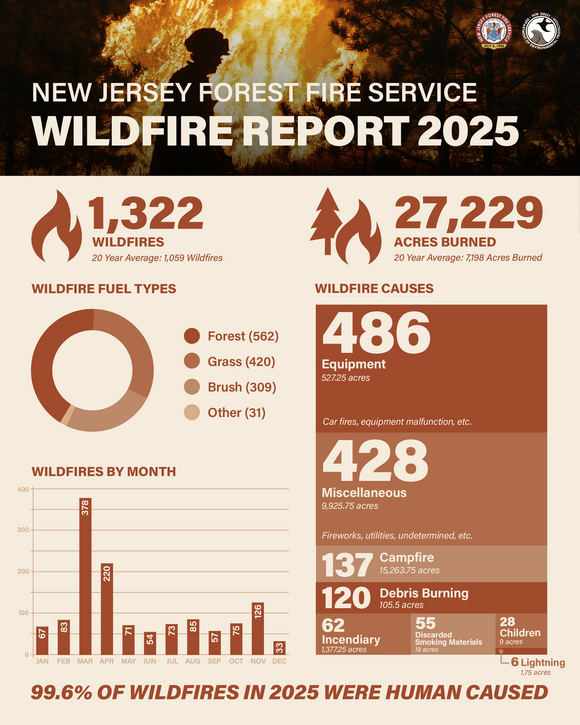 2025 Wildfire Report