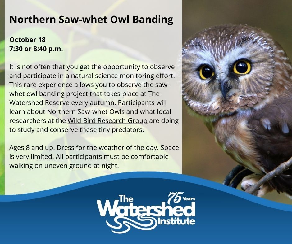 owl banding