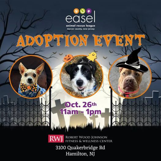 adoption event 10-26