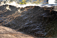 mulch pile