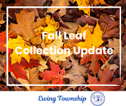 leaf collection