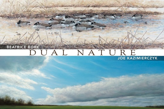 Nature Center exhibit