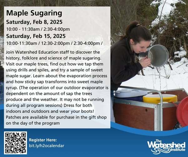 Maple sugaring