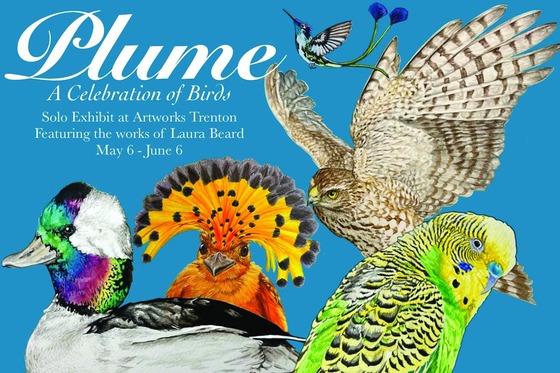 Plume