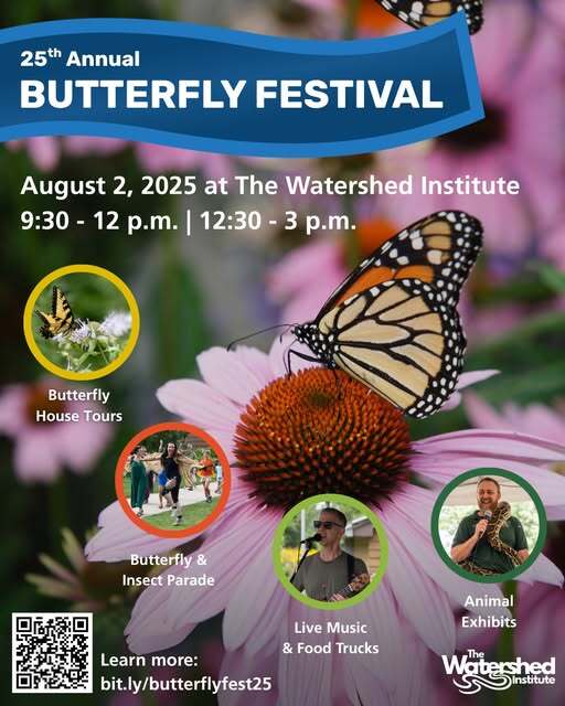 butterfly festival