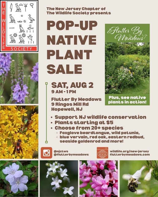 popup plant sale