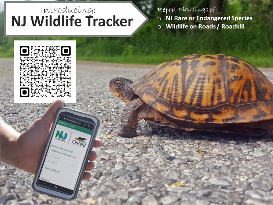 NJ Wildlife Tracker App