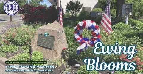ewing blooms