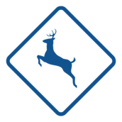 Deer crossing sign