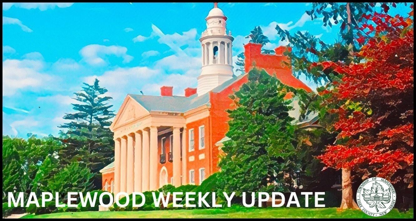 township newsletter banner