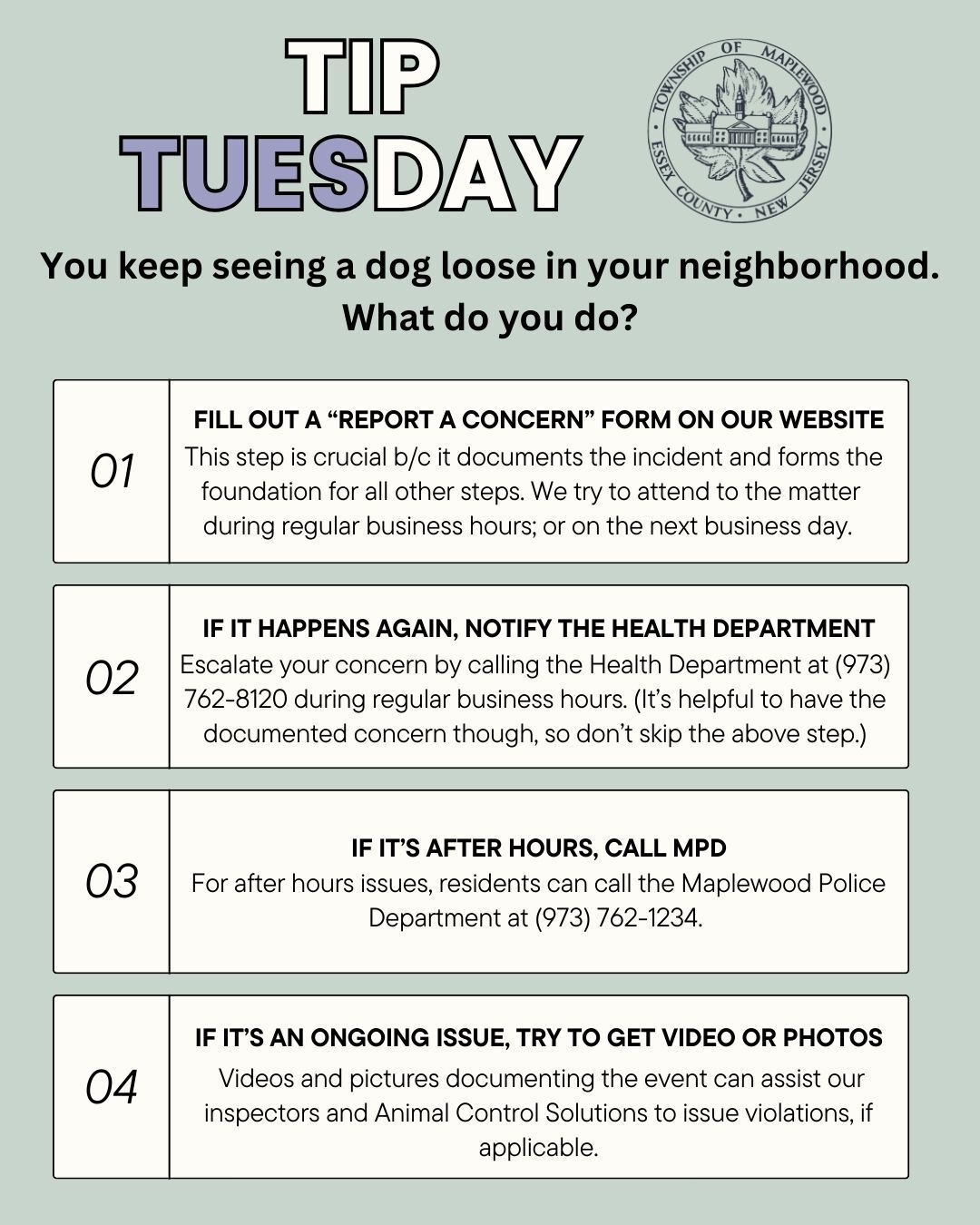 loose dogs tip tuesday