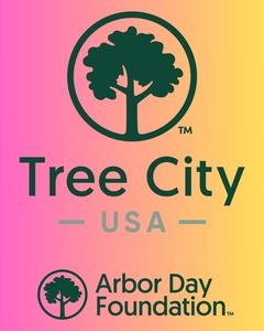 TREE CITY USA