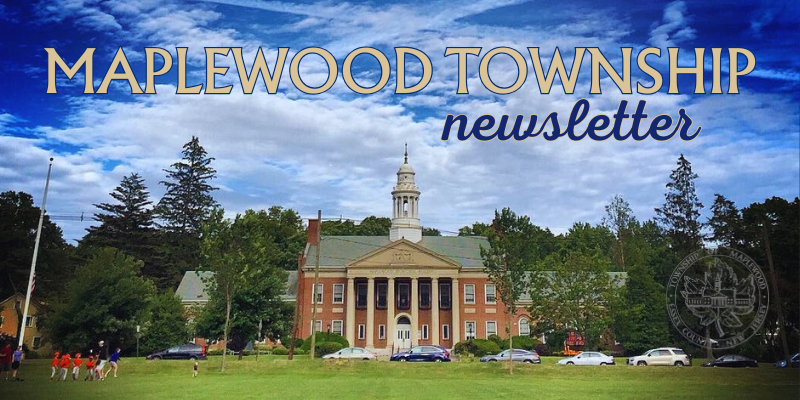 Newsletter Header Banner