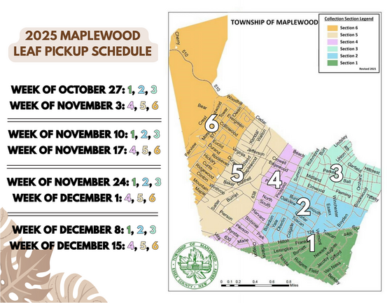 leaf pikcup schedule