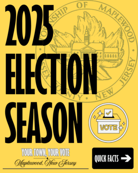 election 2025 flyer