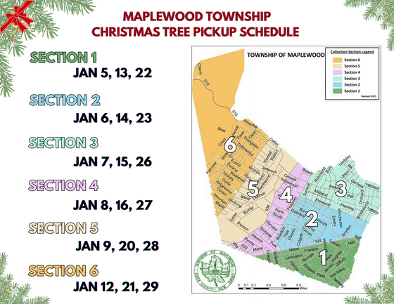 xmas tree pickup 1