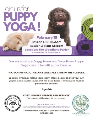 puppy yoga