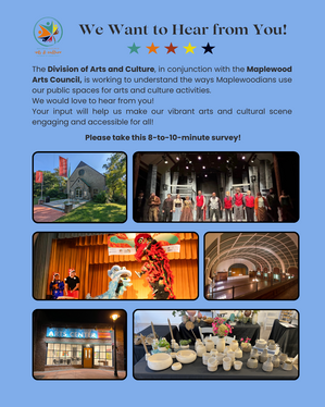 arts council survey