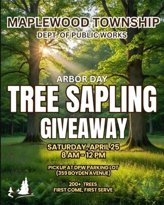 tree sap giveaway